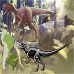 کشف اسکلت قدیمی‌ترین دایناسور گوشتخوار جهان