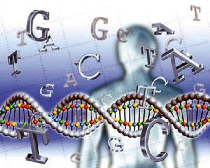ژنوم انسانی جمعیت کشور برای اولین‌بار با اجرای یک مطالعه ارائه می‌شود