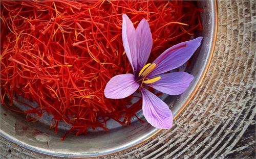 تولید زعفران ایران از مرز ٥٠٠ تن گذشت