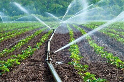 فناوری نانو مشکل آبیاری را در کشاورزی حل کرد